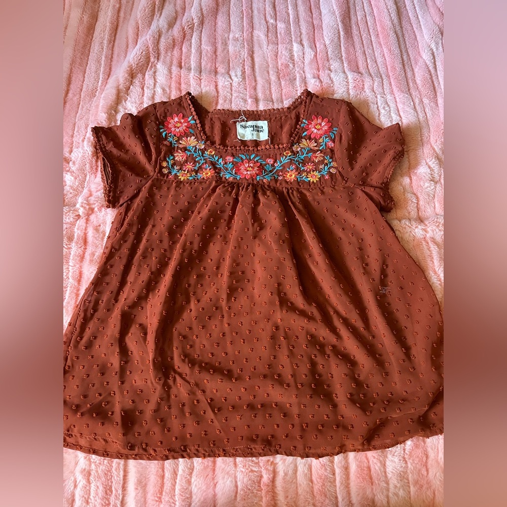 Rust Embroidered Blouse - image 1